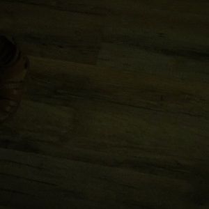 Meet your Posher, Lily